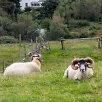An Teach Beag Glencolmcille, Little From Apartmán *