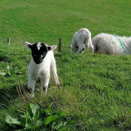 An Teach Beag Glencolmcille, Little From Appartement Glencolumbkille
