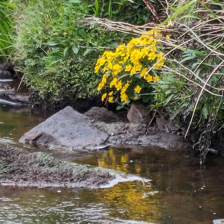 Apartment An Teach Beag Glencolmcille, Little From *