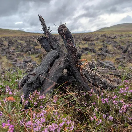 An Teach Beag Glencolmcille, Little From