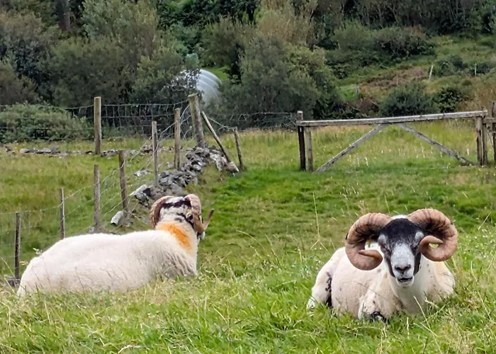 An Teach Beag Glencolmcille, Little From Апартаменты *