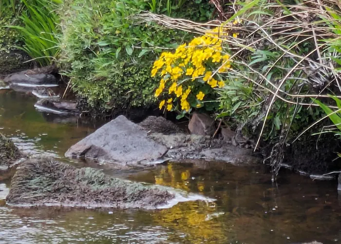 Апартаменты An Teach Beag Glencolmcille, Little From *