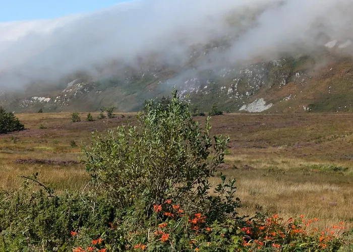 An Teach Beag Glencolmcille, Little From