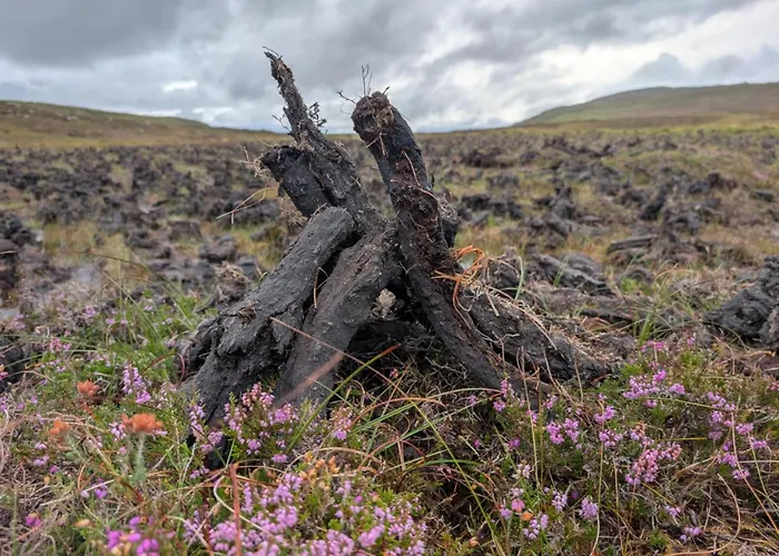 An Teach Beag Glencolmcille, Little From