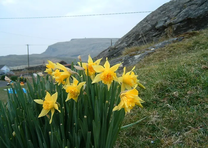 An Teach Beag Glencolmcille, Little From Апартаменты *