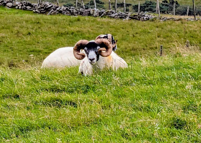 An Teach Beag Glencolmcille, Little From Гленколемкилл